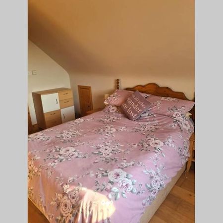 Breathneach House Villa Limerick Junction Dış mekan fotoğraf